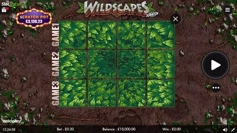 Wildscapes Scratch Review 2024